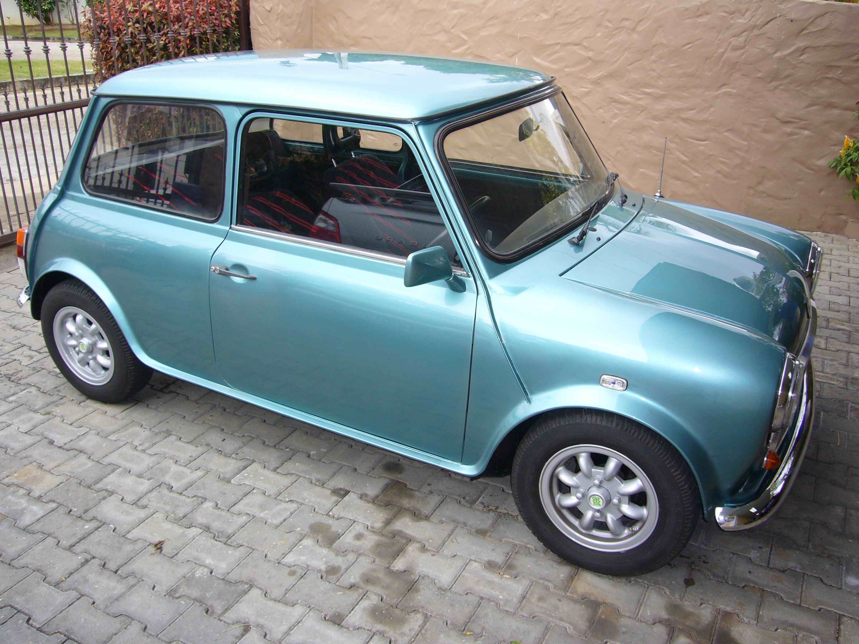 sideofmini.jpg